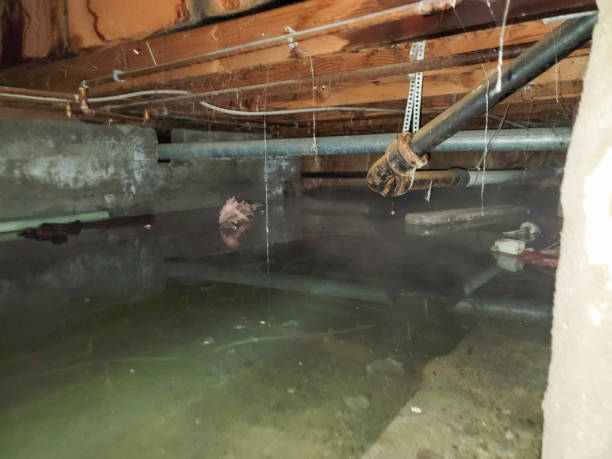 Downey, CA Water damage restoration Company