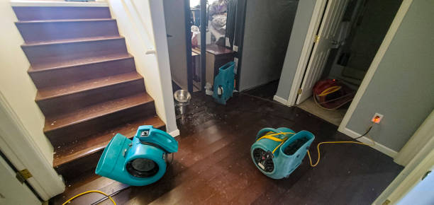 Best Water damage restoration company  in Downey, CA