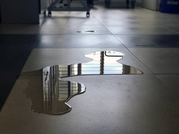 Best Water damage restoration experts  in Downey, CA