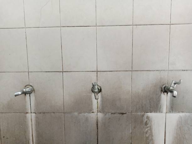 Carpet water damage restoration in Downey, CA