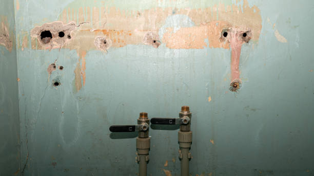 Best Residential water damage restoration  in Downey, CA