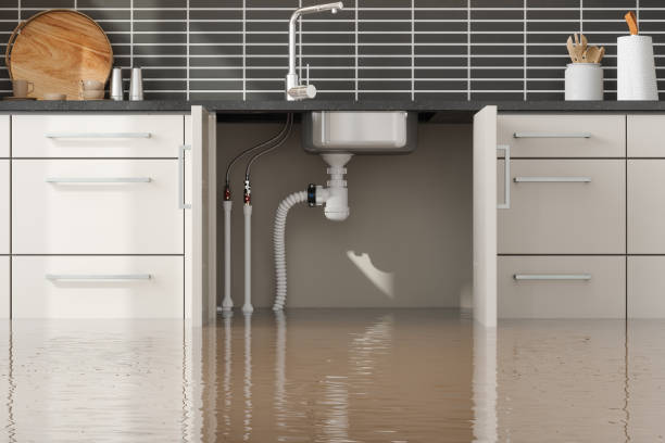 Carpet water damage restoration in Downey, CA