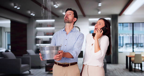 Best Flooded house restoration  in Downey, CA
