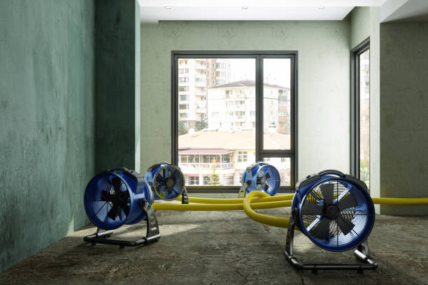 Best Carpet water damage restoration  in Downey, CA